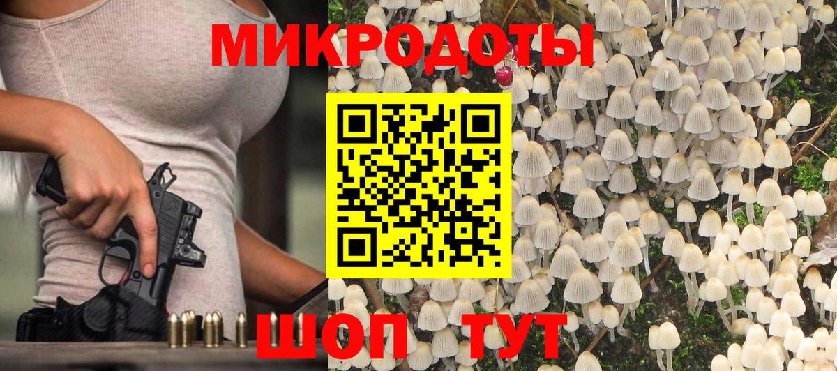 Псилоцибиновые грибы Psilocybe  Вход с VPN  Алейск 