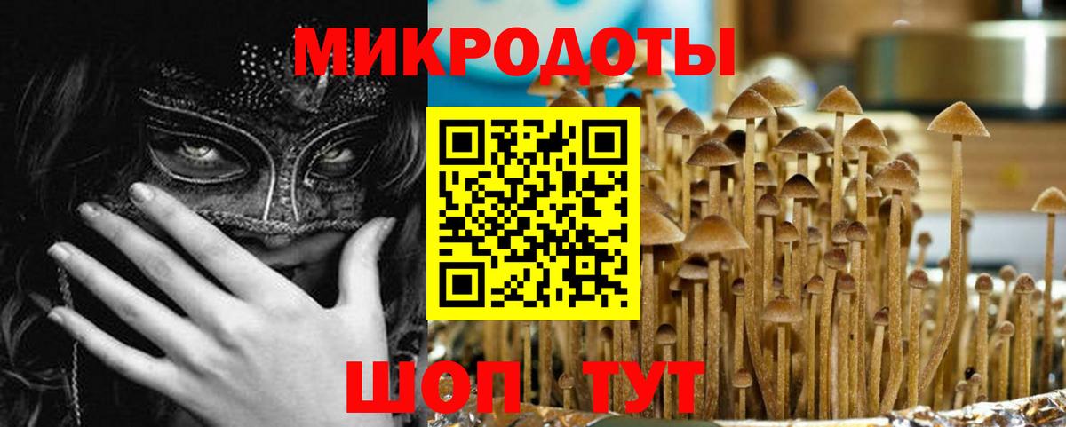Псилоцибиновые грибы прущие грибы Алейск